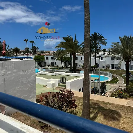 Hibiscus Corralejo