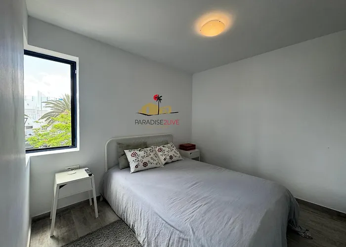 Hibiscus * קורלחו