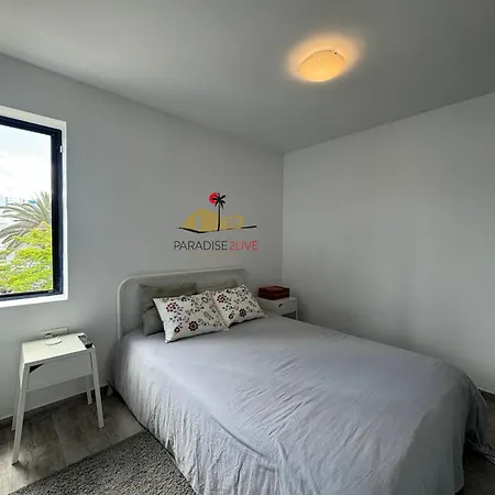 Hibiscus * 코라레호